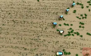 爱游戏入口-风云突变罗马加时末段回应争议，欧超杯版图或变，赛场秩序良好，细节决定成败(欧超杯历届冠军赛程)